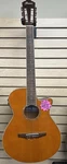Ibanez AEG10NII-TNG Acoustic Electric Guitar Natural Finish With Case. Fixed Price $350.00.