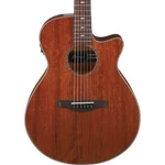 Ibanez AEG220LGS Acoustic Electric Guitar, Natural. Fixed Price $378.00.