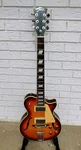 Johnson Hollow Body Electric Guitar W/gigbag! -ll. Fixed Price $400.00.