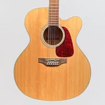 Takamine GJ72CE-12 Series Jumbo Cutaway 12-STRING Acoustic Electric Guitar. Fixed Price $699.00.