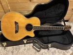 Takamine EF-391R Acoustic Electric Guitar W Case. Fixed Price $989.99.