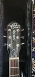 Oscar Schmidt Hollow Body. Fixed Price $250.00.