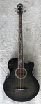 Michael Kelly Dragonfly 4 Fretless Acoustic-electric Bass Guitar , Smoke Burst. Fixed Price $749.00.