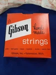 Gibson Electric Acoustic Guitar Mona-steel Strings Or 6TH Wound 1950S Bx. Fixed Price $49.99.