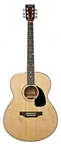 Tanara Steel String Concert Grand Acoustic Guitar - Natural Finish. Fixed Price $249.99.