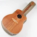 Cole Clark FL2EC-BLBL Acoustic Guitar Australian Blackwood Dreadnought Used. Fixed Price $1583.67.