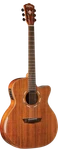 Washburn WCG55CE-O Koa Amplified Acoustic Guitars. Fixed Price $1138.67.
