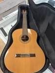 Washburn (C80S) Classical Acoustic Guitar Natural W/ Soft Case. Fixed Price $199.00.