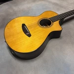 Breedlove Performer Ca Aged Toner Spruce-mahogany New Old Stock. Fixed Price $550.00.