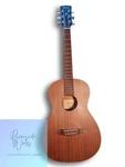 Ibanez PN15MHE-OPN Electro-acoustic Guitar. Fixed Price $437.48.