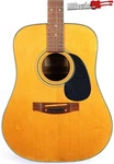 Vintage Tokai Gakki Japan DM12-5 12-STRING Acoustic Guitar Project. Fixed Price $299.95.