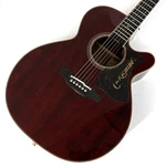 Takamine DMP50S Wr Used Spruce Top Rosewood Side&back Body Wine Red W/hard Case. Fixed Price $932.99.