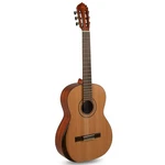 Manuel Rodriguez Classical Guitar Tradicion T-65, Red-cedar/mahogany 4/4 Armrest. Fixed Price $479.99.