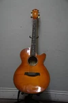 Ibanez AEG20E-VV-3T-01. Fixed Price $225.00.