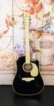 2008 Esteban VL-100BK Acoustic Electric Guitar Bundle W/ Case Tested. Fixed Price $183.99.