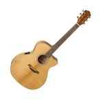 Baton Rouge Tlm/acec Acoustic Electric Guitar. Fixed Price $759.00.