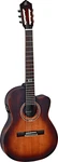 Ortega Guitars Distressed Suite Slim Neck Nylon 6-STRING. Fixed Price $526.99.