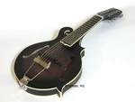 Gold Tone F-style 12-STRING Mandolin Mando-guitar W/ Hardshell Case F-12. Fixed Price $839.99.