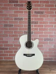 Takamine GN37CE Acoustic-electric Guitar Pearl White. Fixed Price $899.00.