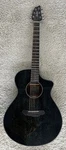 Breedlove Eco Rainforest Concert Fern Finish Acoustic Electric Guitar. Fixed Price $449.00.