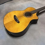 Breedlove Performer Pro Concertina Aged Toner Euro-african Mah-nc N.o.s.. Fixed Price $550.00.