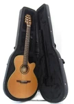 Takamine TSP148NC Ns Classical Electric Guitar Genuine Semi-hard Case UD2. Fixed Price $1421.06.