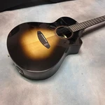 Breedlove Performer Pro Concert Acoustic-electric Spruce-rosewood. Fixed Price $550.00.