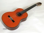 Washburn Classical Nylon String Acoustic Guitar - Spruce Top. Fixed Price $229.99.