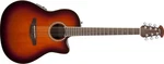 Ovation CS24-1-G Celebrity Standard Mid Cutaway Electric Guitar Sunburst. Fixed Price $495.23.