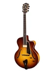 Eastman AR805CE-GB Archtop Jazz Guitar Lollar Pickups. Fixed Price $4274.42.