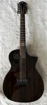 Michael Kelly Forte Port Randy Jackson 12-STRING Acoustic Electric Guitar. Fixed Price $599.99.