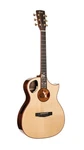 Cort Masterpiece Series Roselyn A/e Guitar With Case. Fixed Price $1999.99.