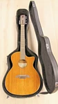 Alvarez AG660CE12 Artist Series Grand Auditorium 12-STRING Guitar. Fixed Price $399.00.