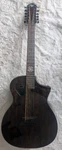 Michael Kelly Forte Port Randy Jackson 12-STRING Acoustic Electric Guitar. Fixed Price $599.99.