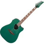 Ibanez ALT30JGM Amplified Acoustic Guitars. Fixed Price $507.02.