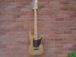 Godin RG4 Passion Swamp Ash Bass Guitar W/gab,sf. Fixed Price $1687.14.
